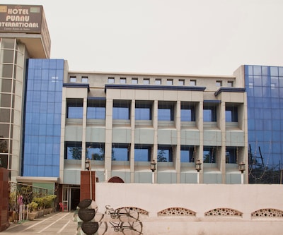 Hotel Punnu International